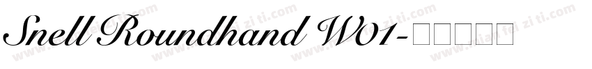 Snell Roundhand W01字体转换
